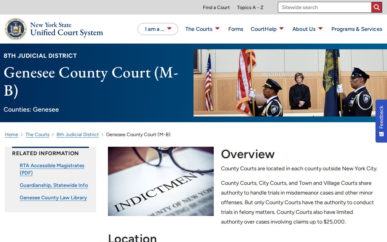 Genesee County criminal court cases official County Court page